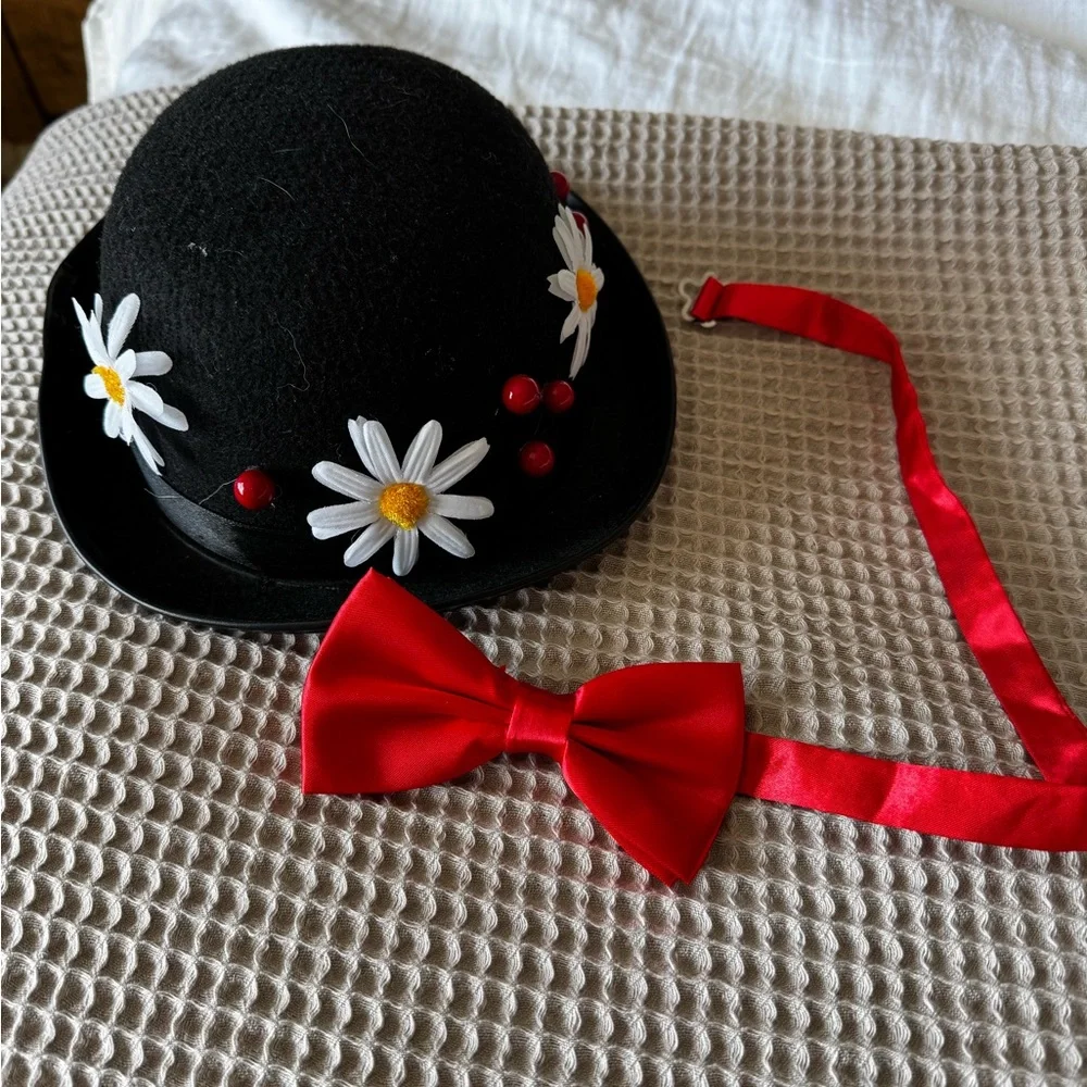 Disney Mary Poppins Costume - Picture 3 of 3